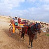 ValleyoftheKingsTravel78